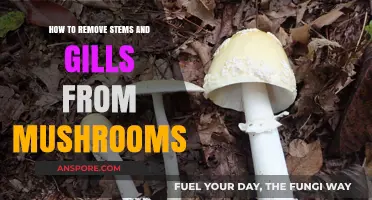 Efficiently Prepping Mushrooms: Removing Stems and Gills Made Simple