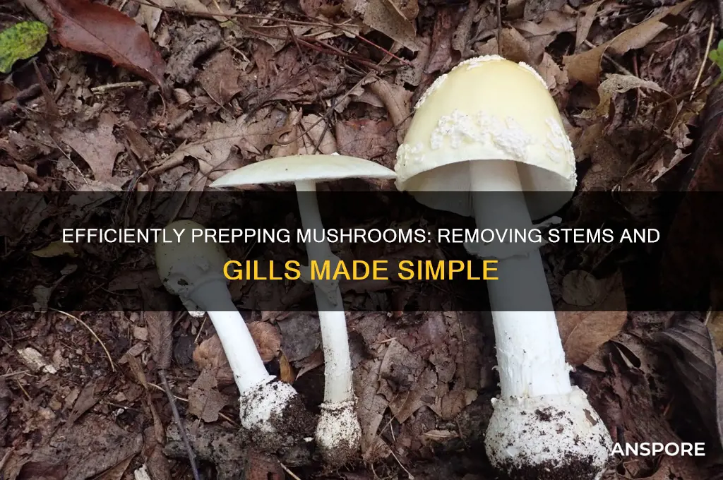 how to remove stems and gills from mushrooms