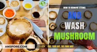 Mastering Mushroom Prep: Easy Stem Removal and Washing Techniques