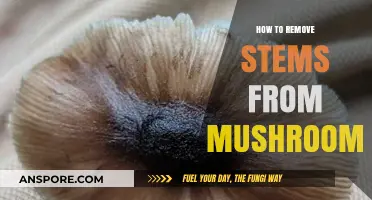 Quick and Easy Guide to Removing Stems from Mushrooms
