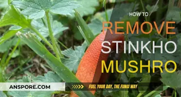 Eradicate Stinkhorn Mushrooms: A Step-by-Step Guide