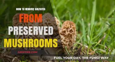 Effective Methods to Remove Sulfates from Preserved Mushrooms Safely