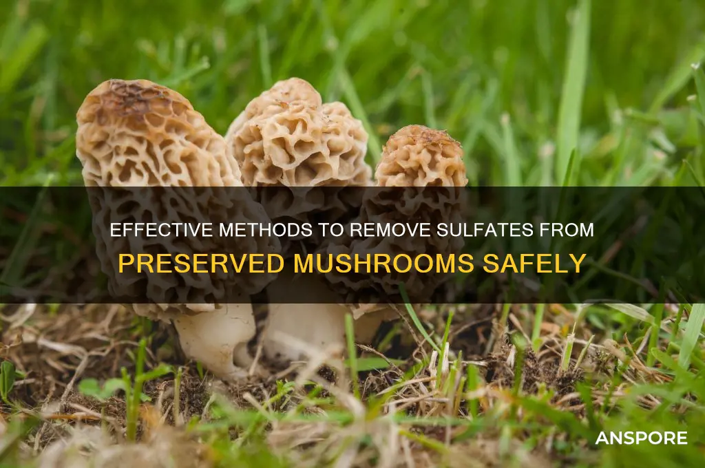 how to remove sulfates from preserved mushrooms