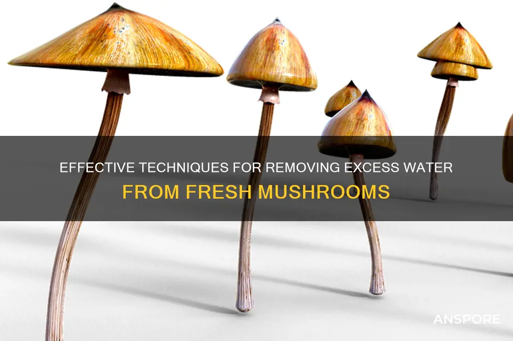 how to remove water from mushrooms
