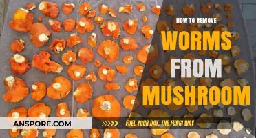 Effective Methods to Safely Remove Worms from Mushrooms at Home
