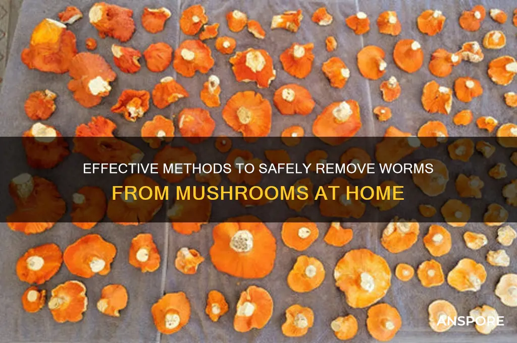 how to remove worms from mushrooms