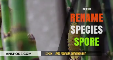 Renaming Species Spores: A Step-by-Step Guide for Accurate Taxonomy