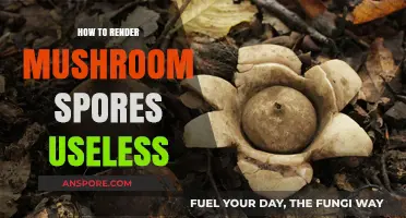 Effective Methods to Neutralize Mushroom Spores: A Comprehensive Guide