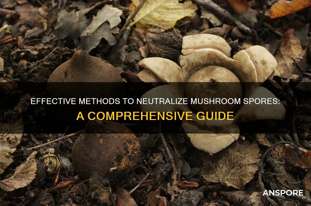 how to render mushroom spores useless