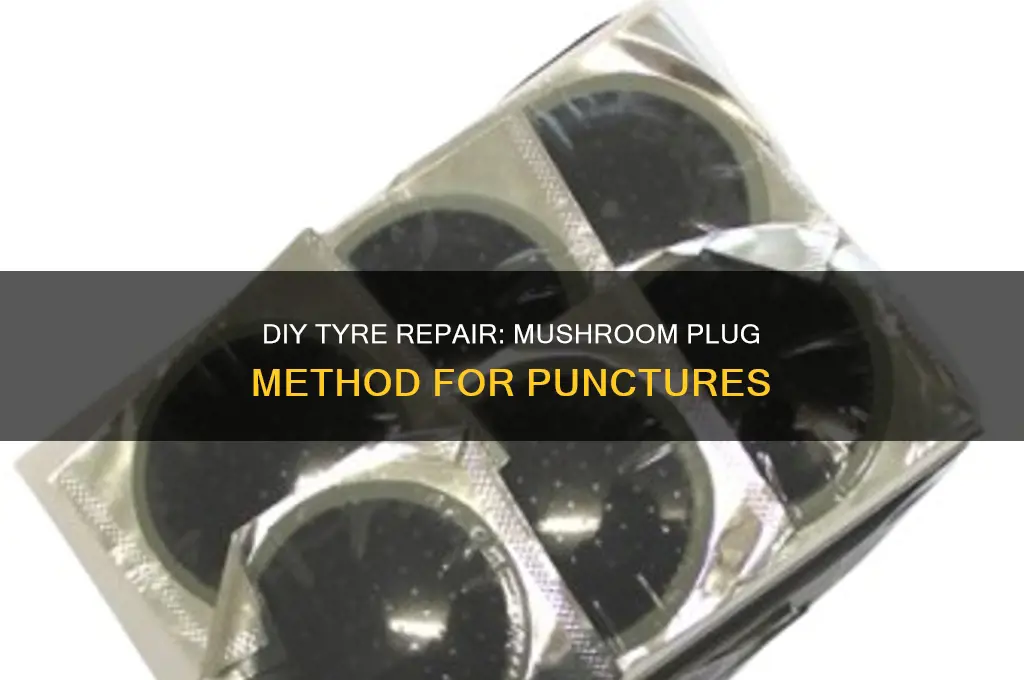 how to repair a tyre with a mushroom plug
