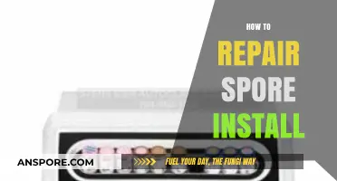 Fixing Spore Installation Errors: A Step-by-Step Repair Guide