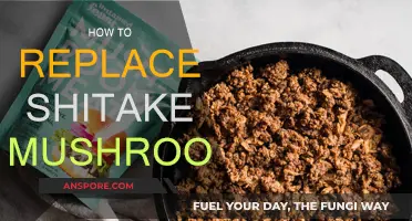 Replacing Shiitake Mushrooms: Easy Alternatives for Your Favorite Recipes