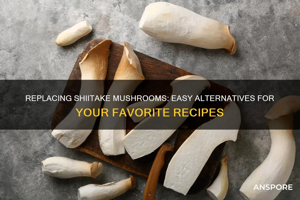how to replace shitake mushrooms
