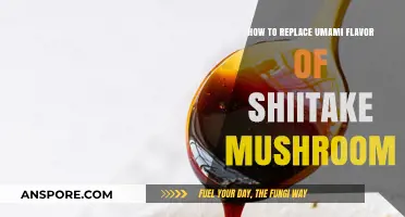 Replacing Shiitake's Umami: Creative Flavor Alternatives for Your Recipes