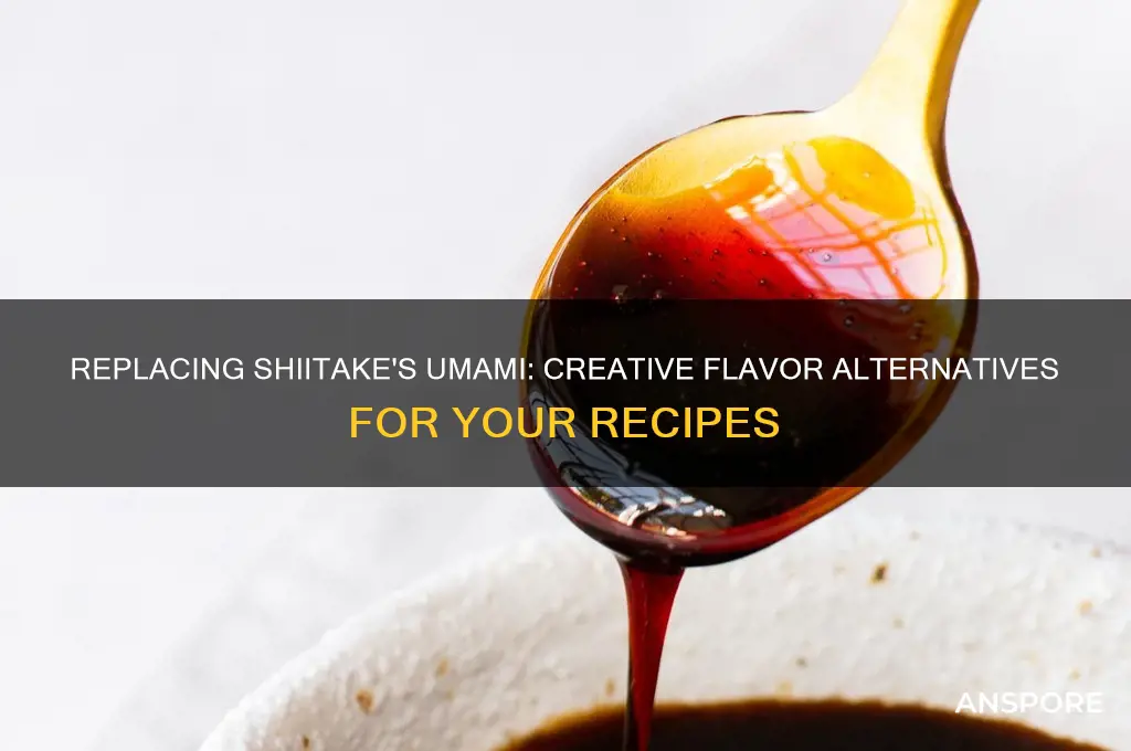 how to replace umami flavor of shiitake mushroom