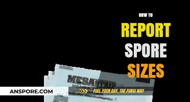 Accurate Spore Size Reporting: Essential Techniques and Best Practices