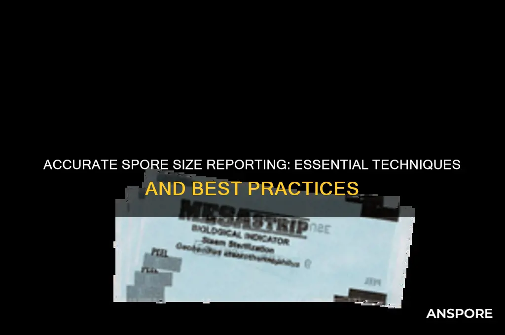 how to report spore sizes