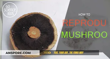 Grow Your Own Mushrooms: A Step-by-Step Guide