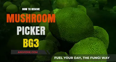 Rescuing Mushroom Picker in Baldur's Gate 3: A Step-by-Step Guide