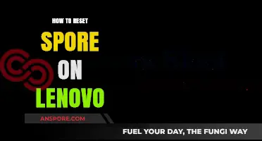 Resetting Spore on Lenovo: A Step-by-Step Troubleshooting Guide