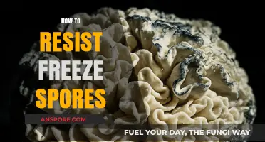 Effective Strategies to Resist Freeze Spores and Protect Your Plants