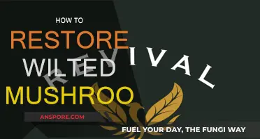 Reviving Mushrooms: Simple Tips to Restore Wilted Fungi