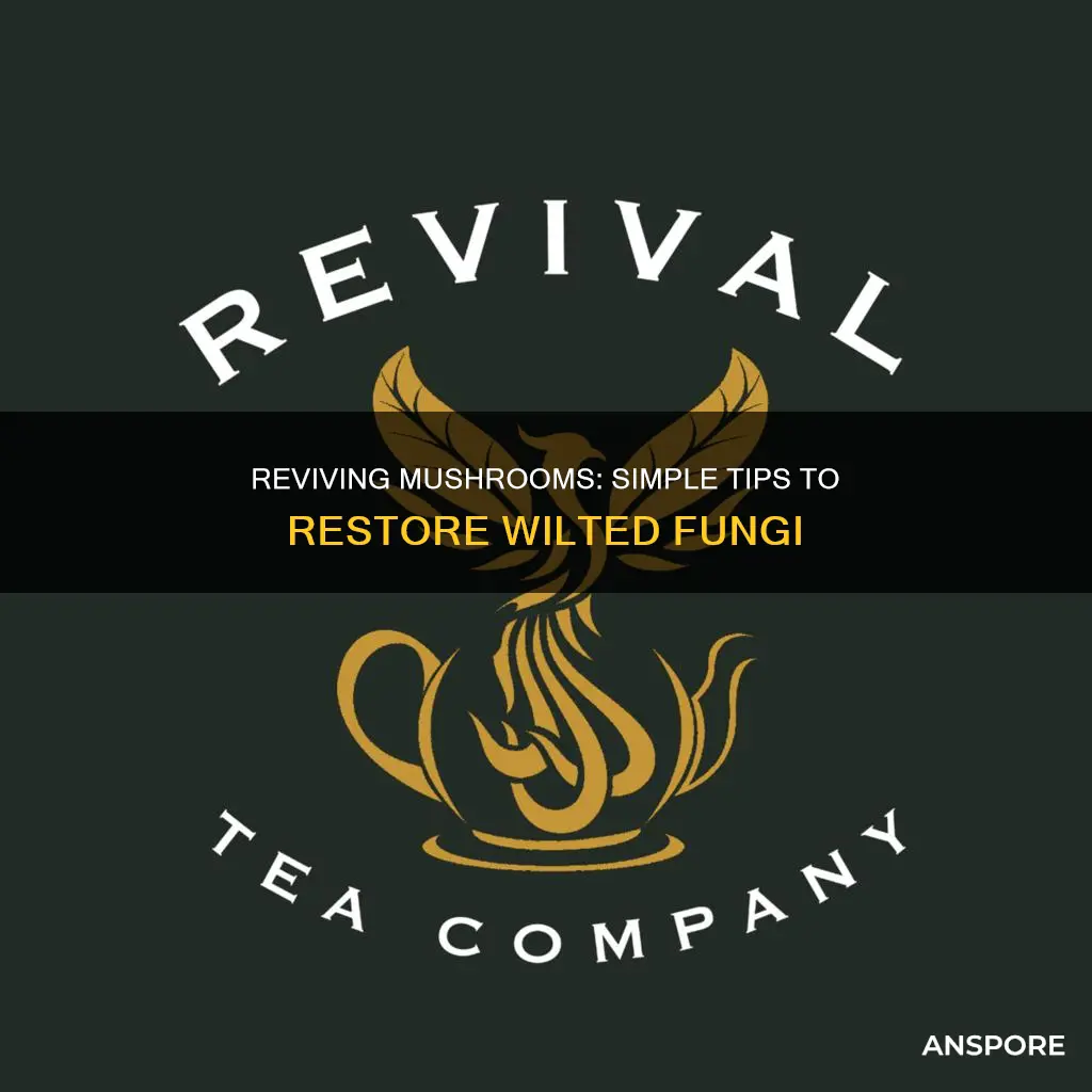 how to restore wilted mushrooms