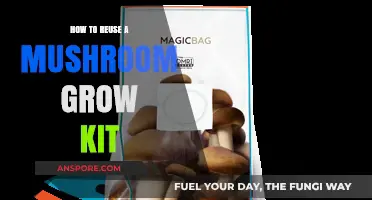 Revive Your Harvest: Creative Ways to Reuse Mushroom Grow Kits