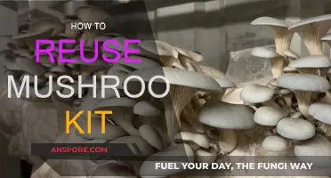 Grow, Don't Throw: Reusing Mushroom Kits for Successive Crops