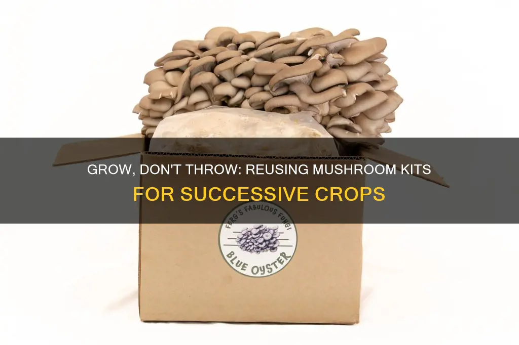 how to reuse mushroom kit