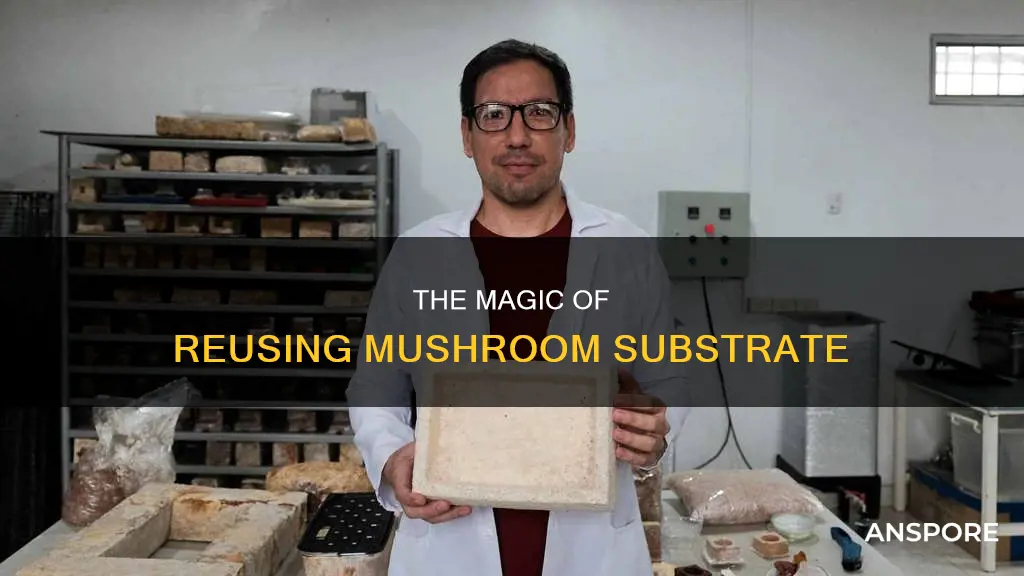 how to reuse mushroom substrate