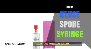 Maximizing Your Spore Syringe: Creative Reuse Tips and Techniques