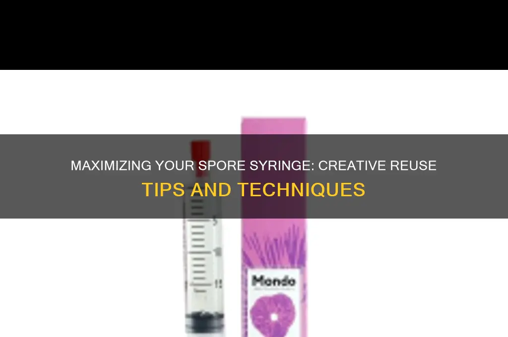 how to reuse spore syringe