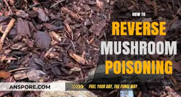 Emergency Guide: Reversing Mushroom Poisoning Symptoms and Seeking Help Fast