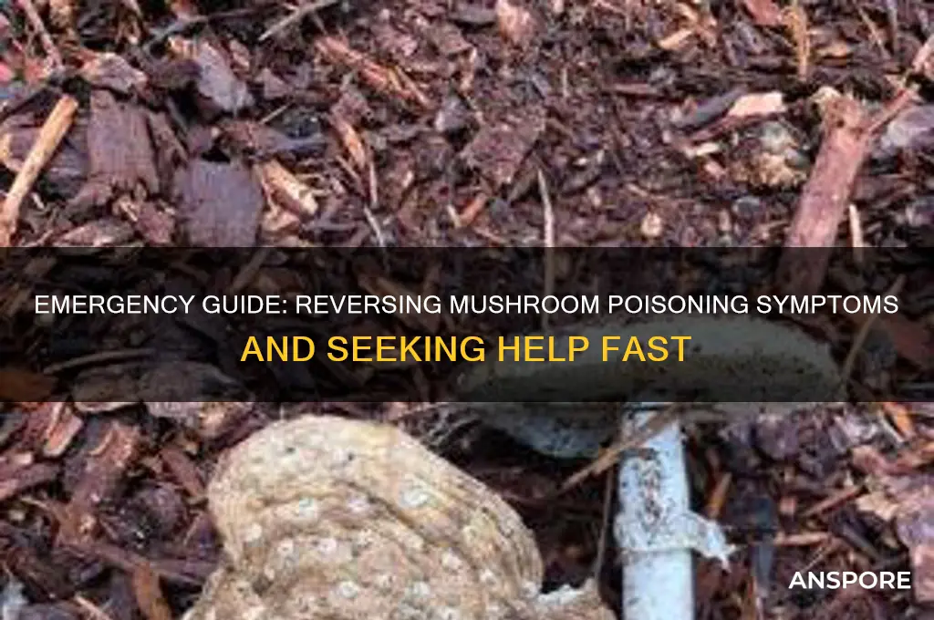 how to reverse mushroom poisoning