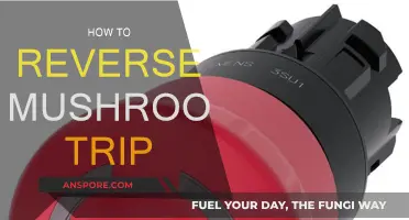 Calmly Navigate a Bad Mushroom Trip