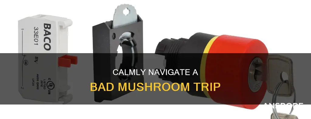 how to reverse mushroom trip