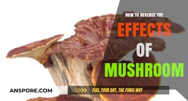 Reversing Mushroom Effects: Essential Steps for Recovery and Safety