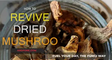 Dried Mushroom Revival: Simple Soaking Techniques