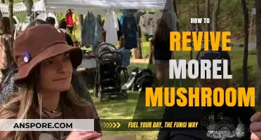 Reviving Morel Mushrooms: Expert Tips for Restoring Freshness and Flavor