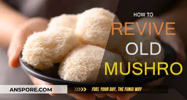 Bringing Mushrooms Back to Life: A Revival Guide