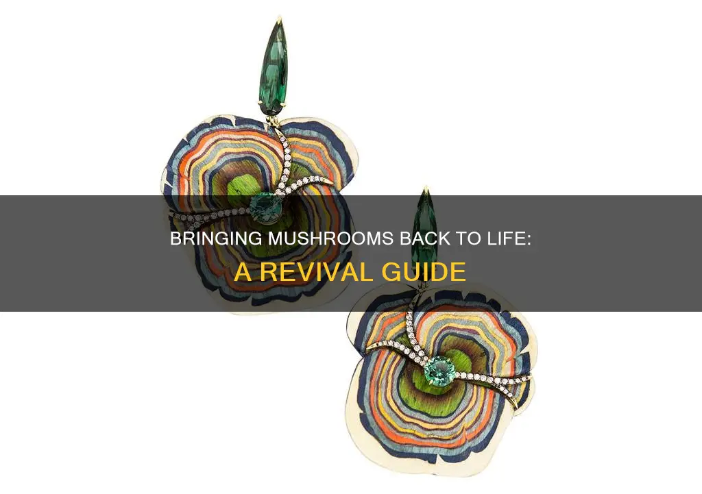 how to revive old mushrooms