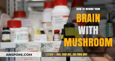 Rewire Your Brain: The Power of Mushrooms for Mental Transformation