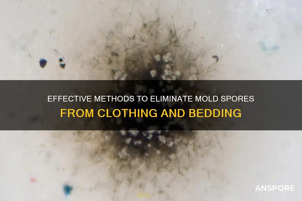 how to rid clothing and bedding of mold spores