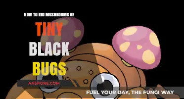 Effective Ways to Eliminate Tiny Black Bugs from Mushrooms