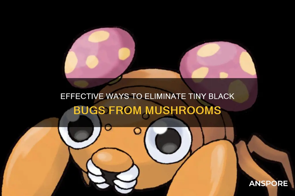 how to rid mushrooms of tiny black bugs