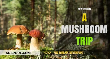 Navigating Psychedelic Realms: A Guide to Riding a Mushroom Trip