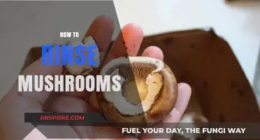 The Right Way to Rinse Mushrooms