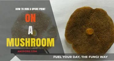 Mastering Mushroom Identification: A Step-by-Step Guide to Spore Printing
