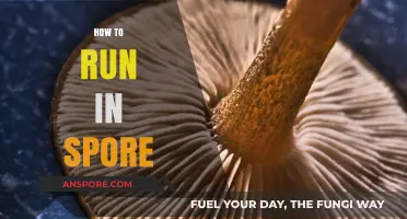 Mastering the Art of Running in Spore: Tips and Techniques